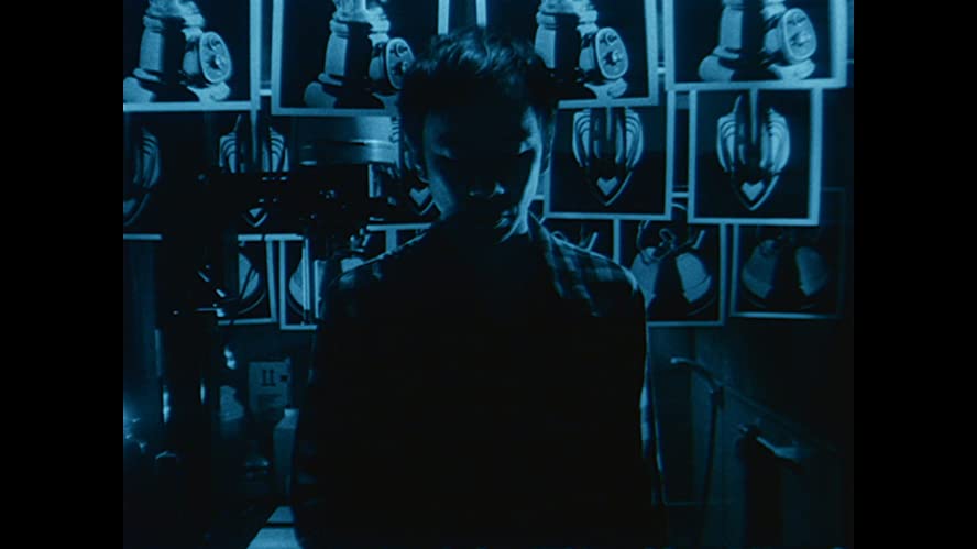 六月の蛇の画像