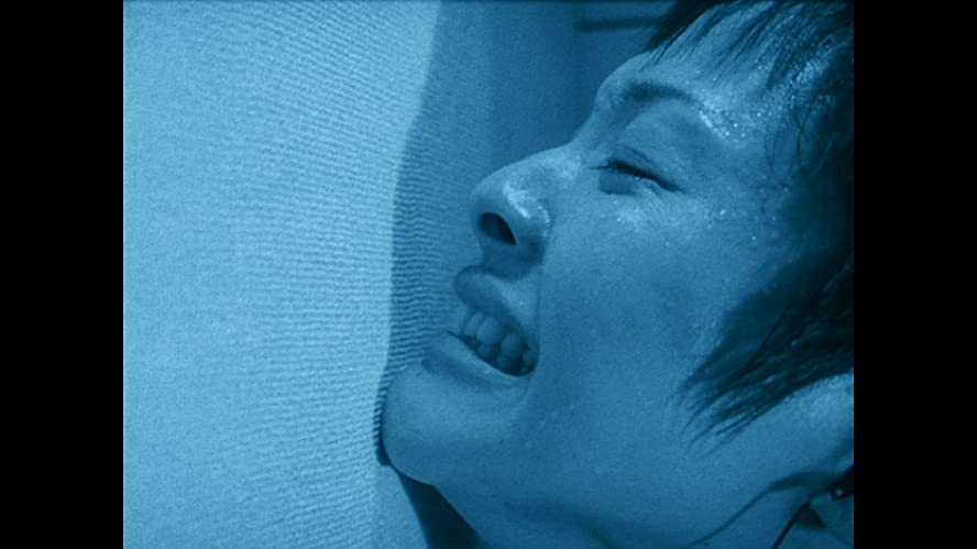 六月の蛇の画像