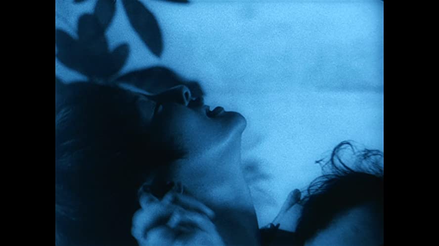 六月の蛇の画像