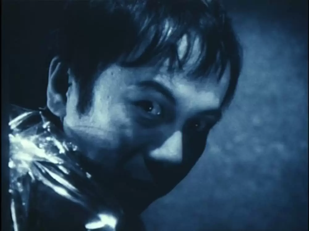 六月の蛇の画像