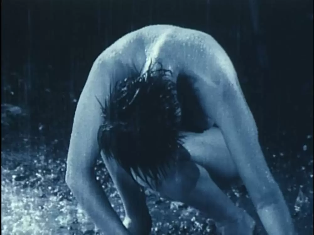 六月の蛇の画像