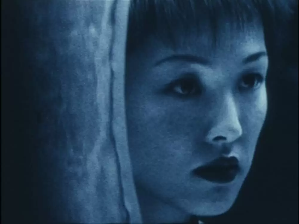 六月の蛇の画像