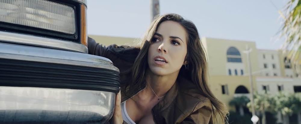 スティール・サンダーの画像