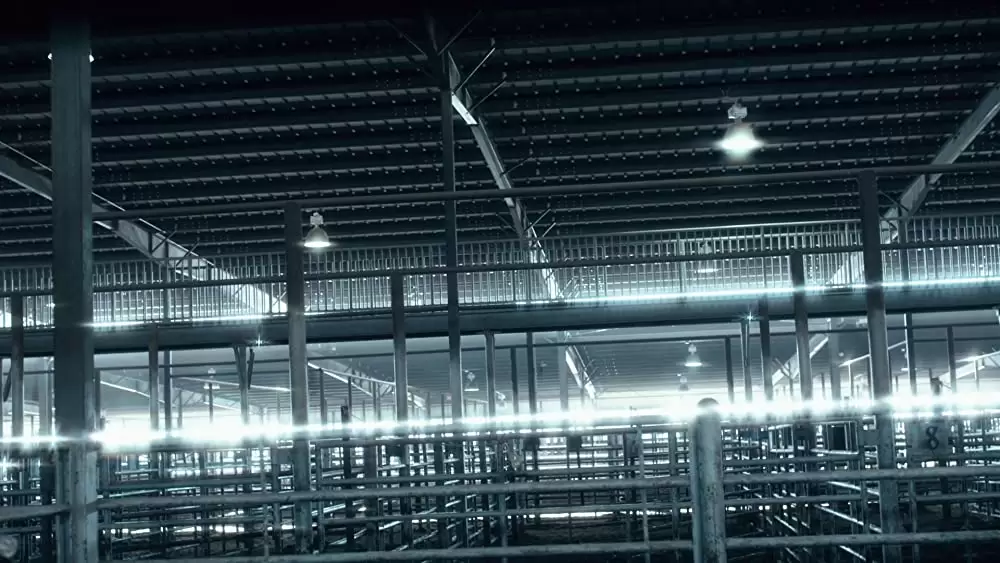 「ウィンターズ・ボーン」の画像