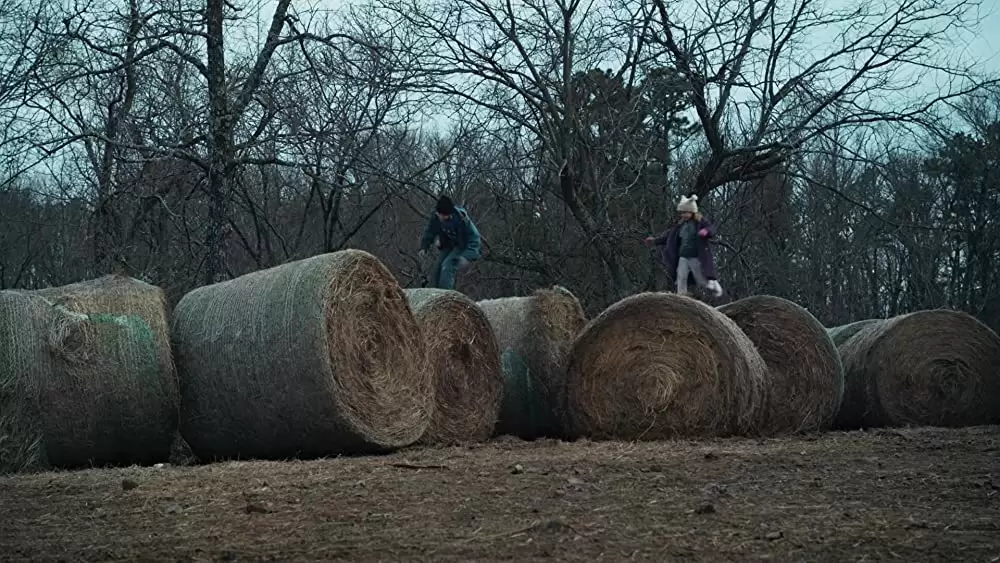 「ウィンターズ・ボーン」の画像
