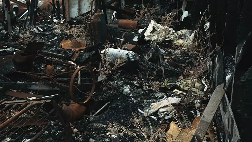 「ウィンターズ・ボーン」の画像