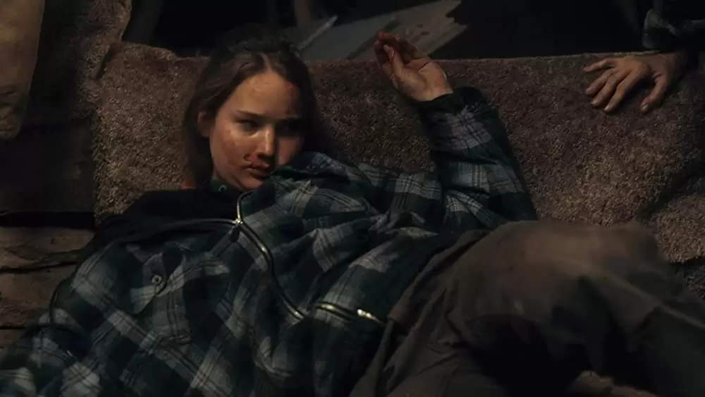 「ウィンターズ・ボーン」の画像