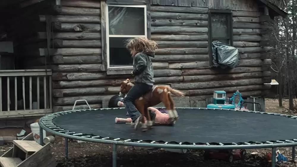 「ウィンターズ・ボーン」の画像