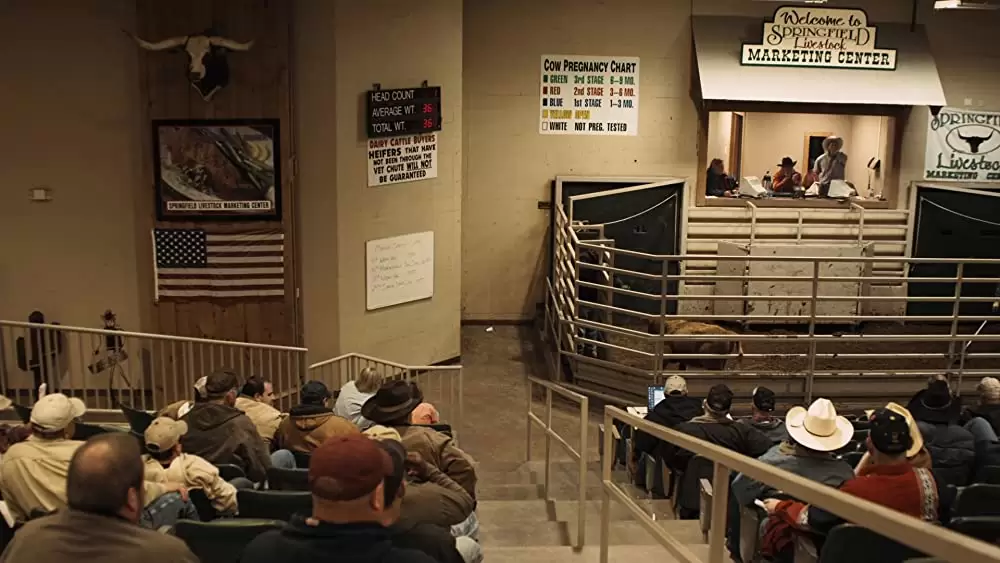 「ウィンターズ・ボーン」の画像