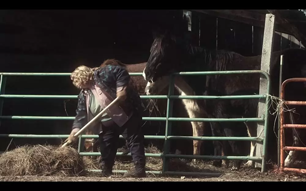 「ウィンターズ・ボーン」の画像