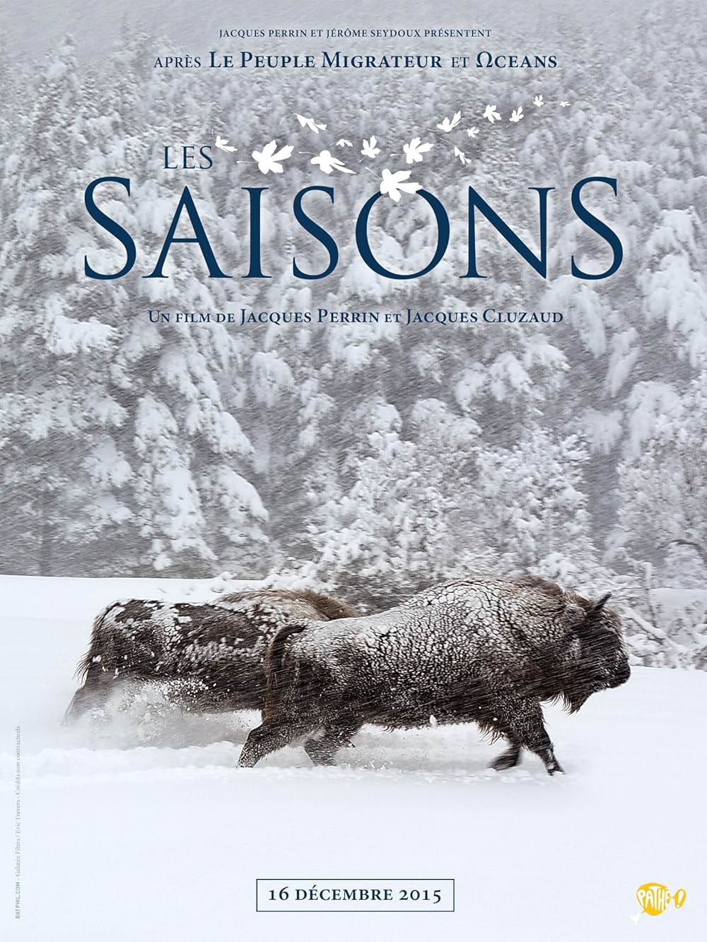 シーズンズ 2万年の地球旅行の画像