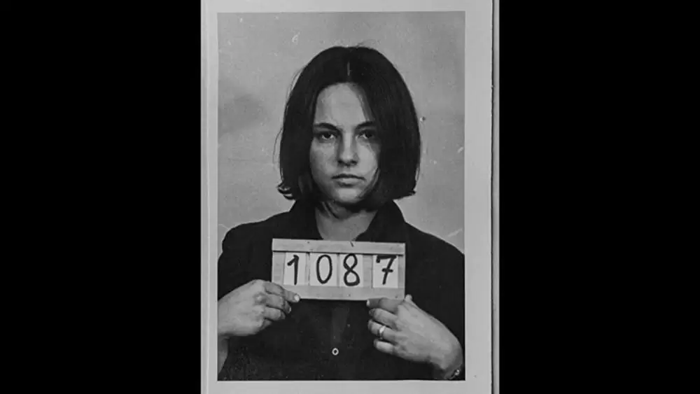 ブラジル －消えゆく民主主義－の画像