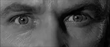 イカリエ-XB1の画像