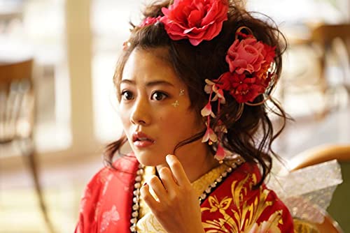 アズミ・ハルコは行方不明の画像