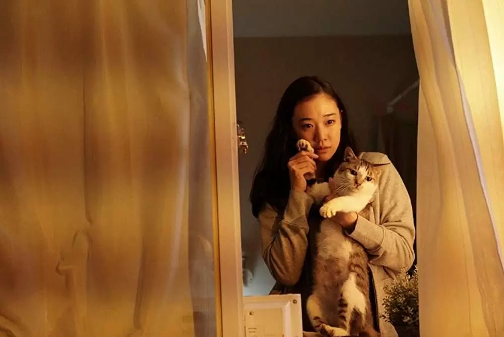 「アズミ・ハルコは行方不明」蒼井優の画像