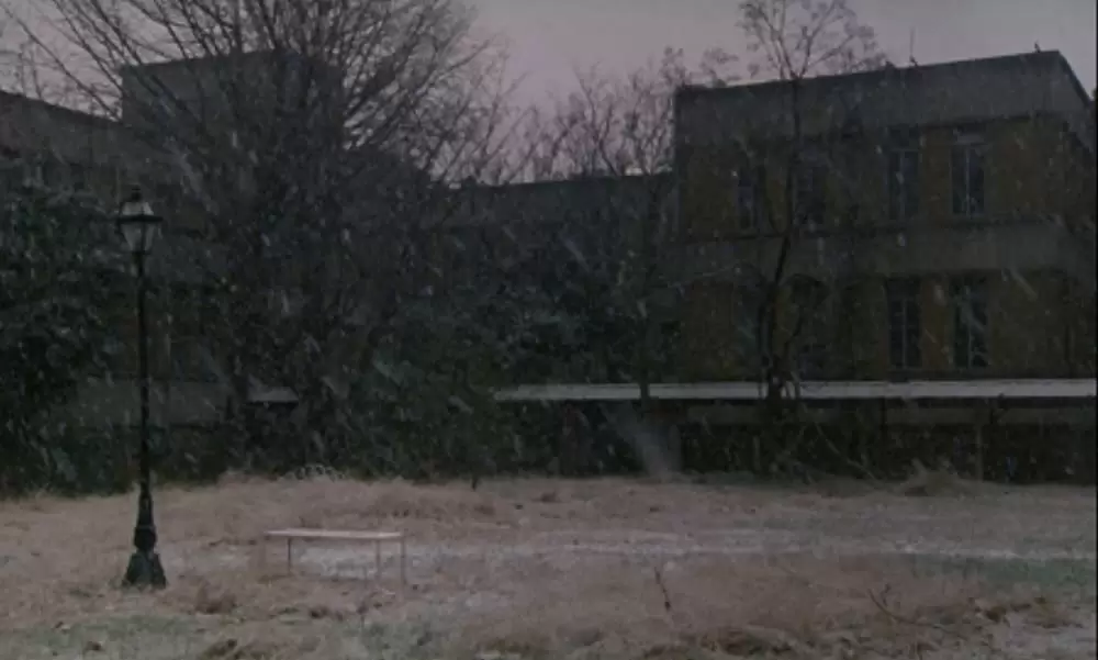 ワンダフルライフの画像