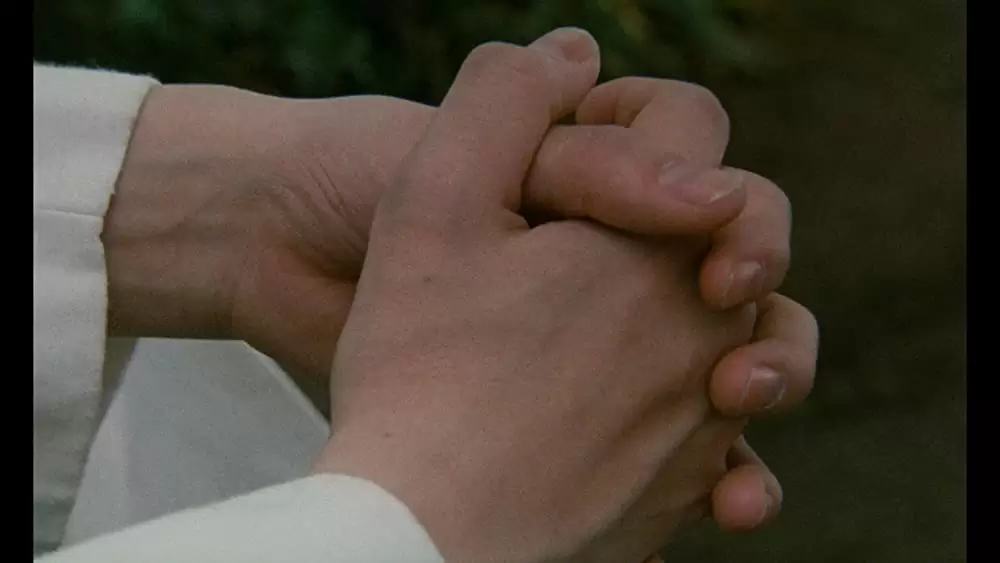 ワンダフルライフの画像