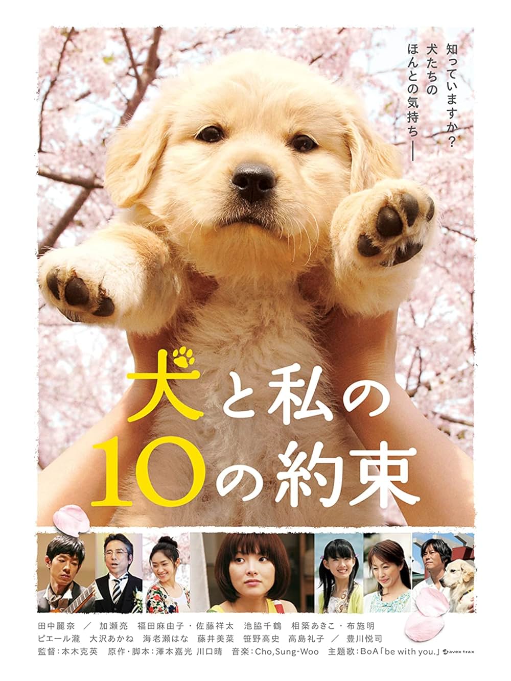 犬と私の10の約束の画像