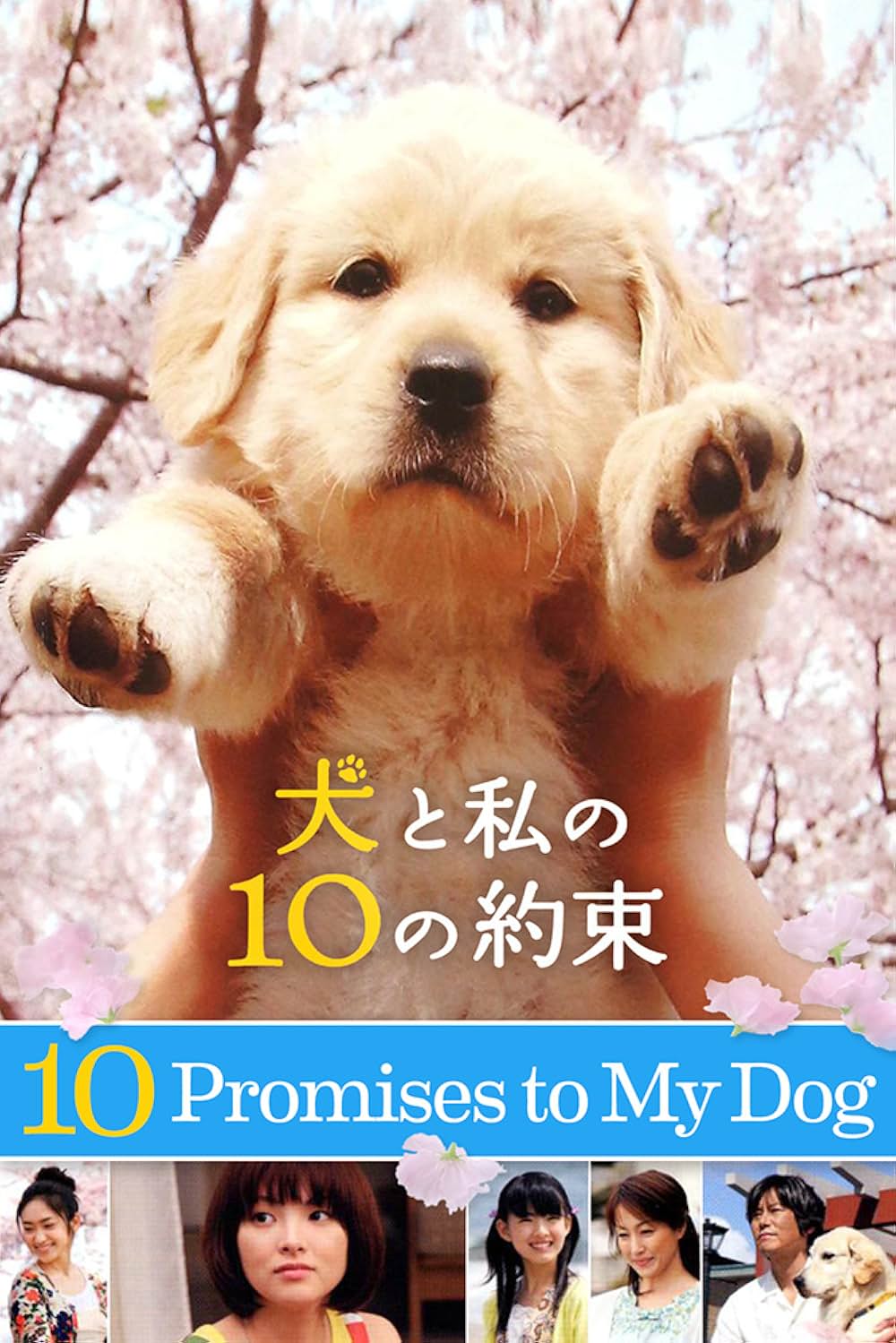 犬と私の10の約束の画像