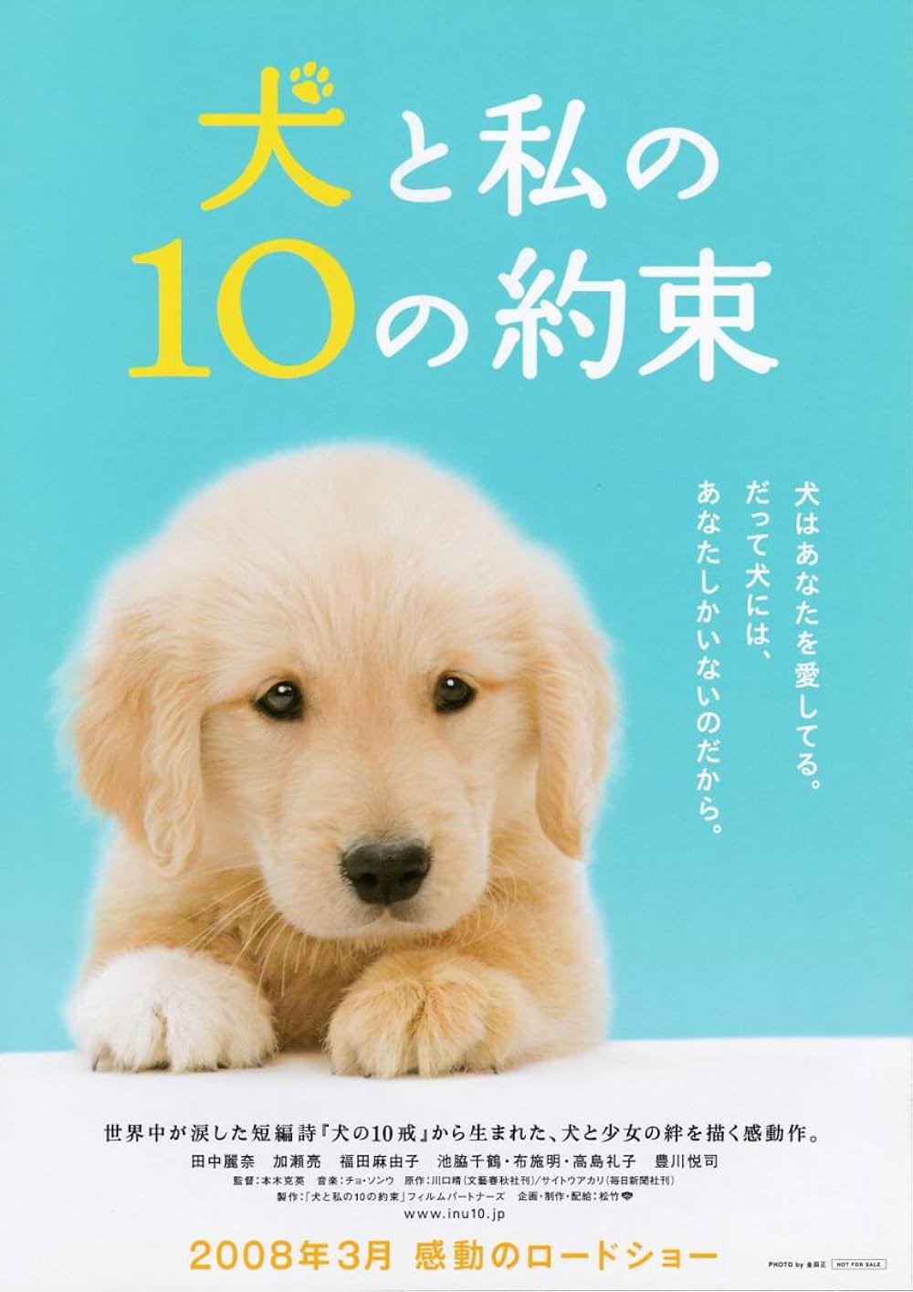 犬と私の10の約束の画像