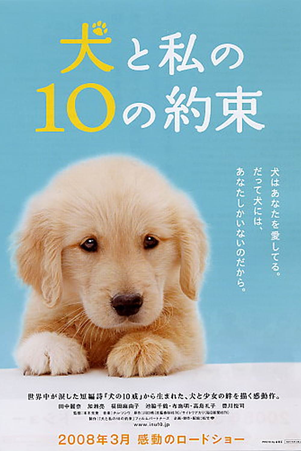 「犬と私の10の約束」の画像