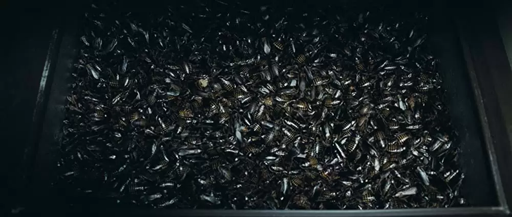 愛を複製する女の画像