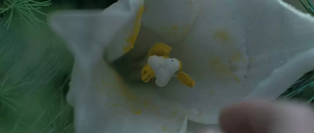 愛を複製する女の画像