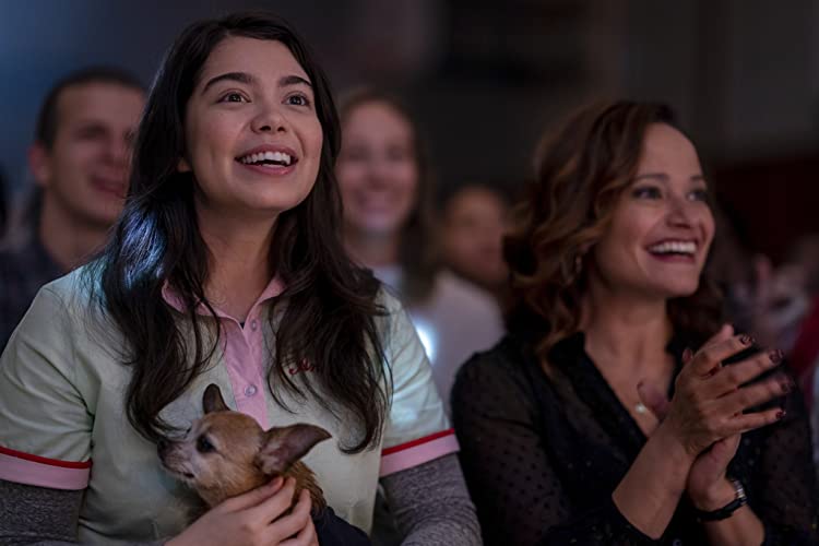 希望のカタマリの画像