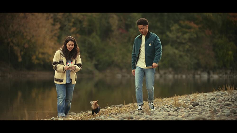 希望のカタマリの画像