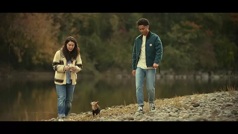 希望のカタマリの画像