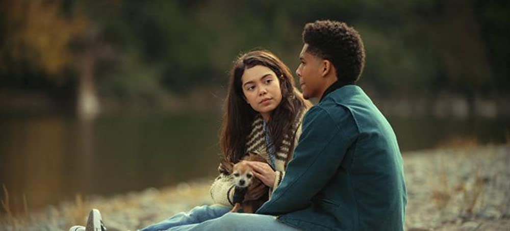 希望のカタマリの画像