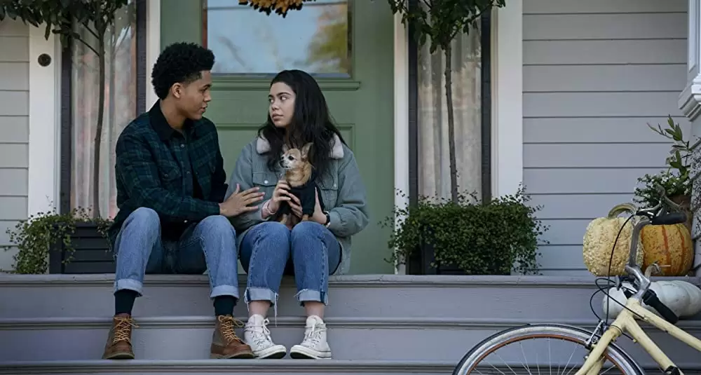 希望のカタマリの画像