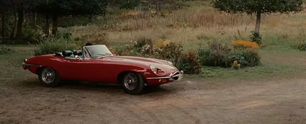 バーニーズ・バージョン ローマと共にの画像