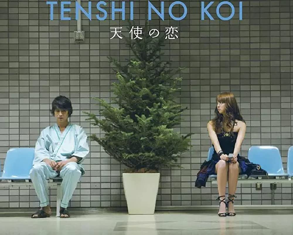 天使の恋の画像