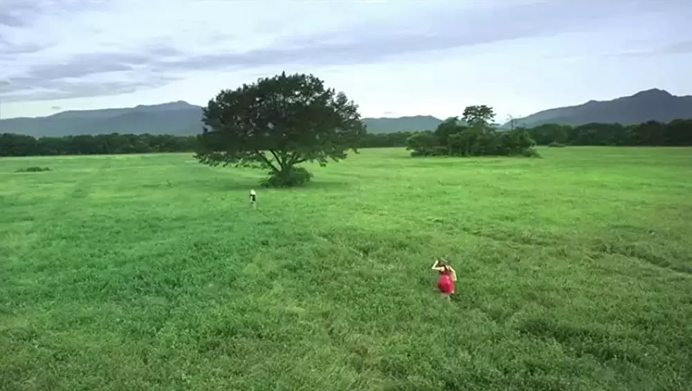 天使の恋の画像