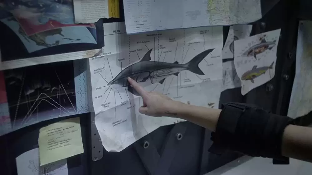 シャークネード エクストリーム・ミッションの画像