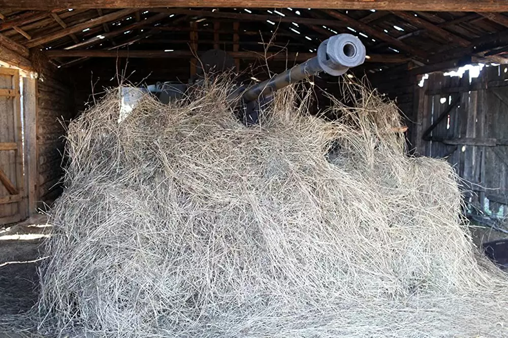 ホワイトタイガー ナチス極秘戦車・宿命の砲火の画像