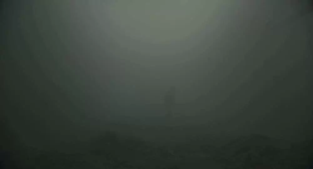 ザ・ゴールドフィンチの画像