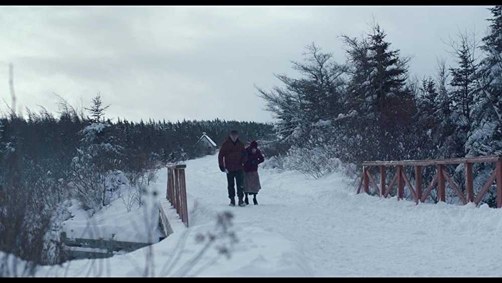 しあわせの絵の具 愛を描く人 モード・ルイスの画像