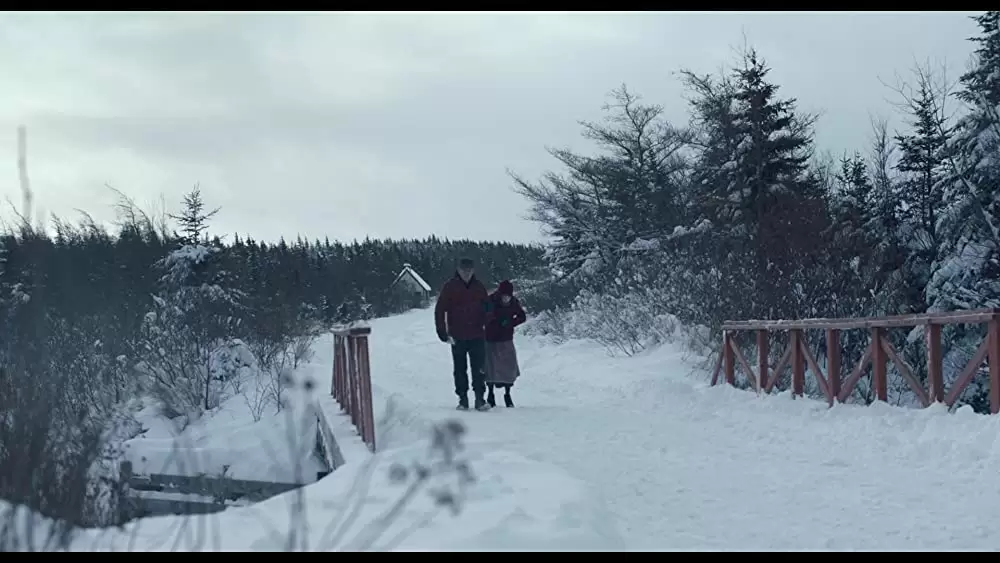 「しあわせの絵の具 愛を描く人 モード・ルイス」イーサン・ホーク & サリー・ホーキンスの画像