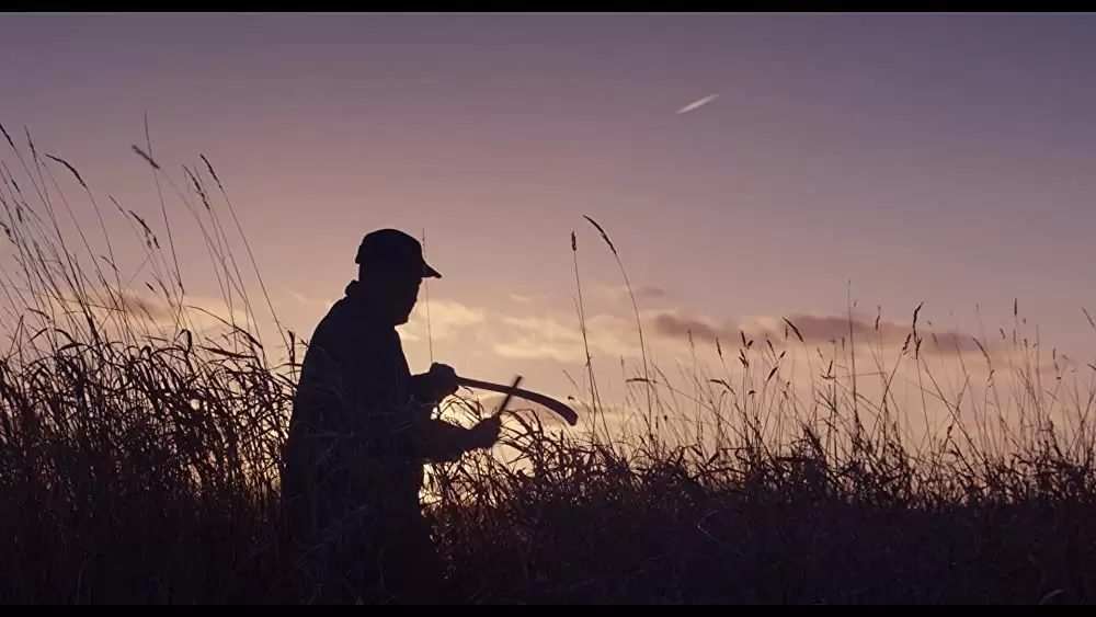 しあわせの絵の具 愛を描く人 モード・ルイスの画像