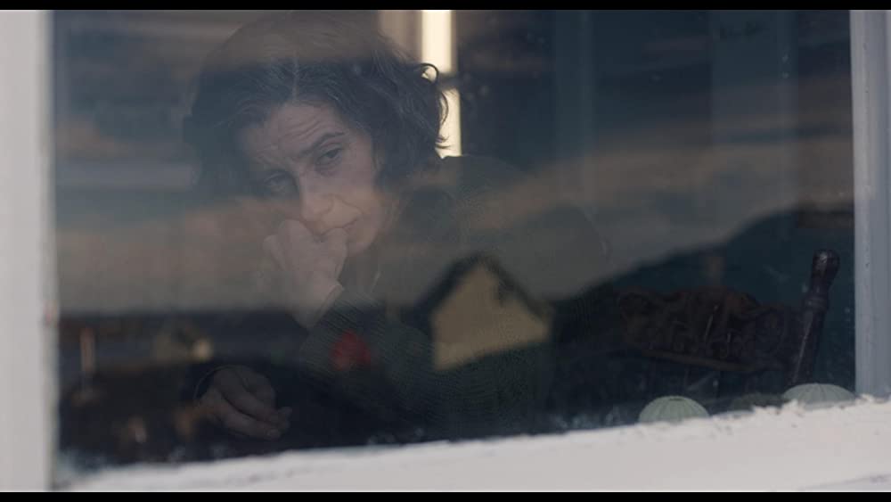 しあわせの絵の具 愛を描く人 モード・ルイスの画像