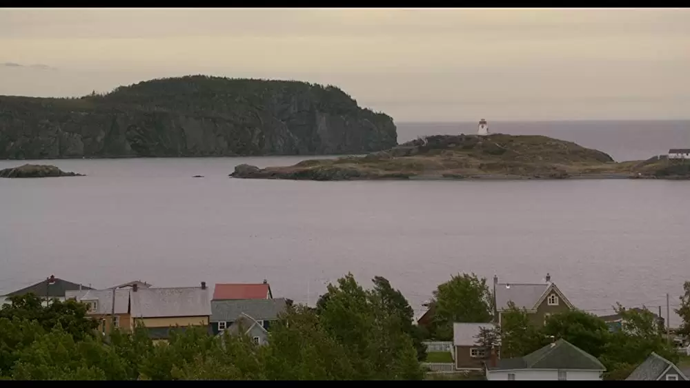 しあわせの絵の具 愛を描く人 モード・ルイスの画像