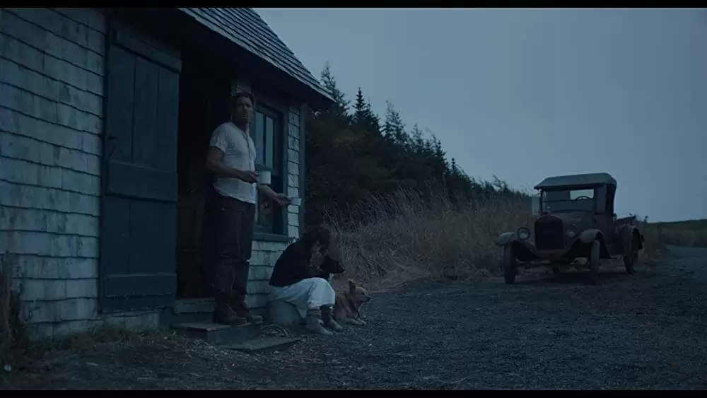 「しあわせの絵の具 愛を描く人 モード・ルイス」イーサン・ホーク & サリー・ホーキンスの画像