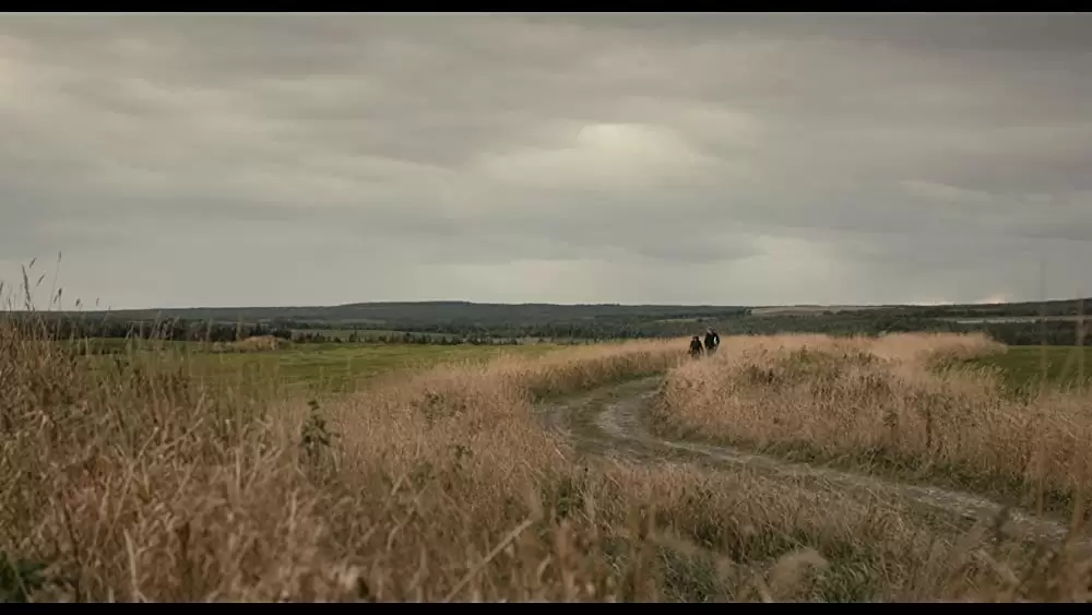 しあわせの絵の具 愛を描く人 モード・ルイスの画像