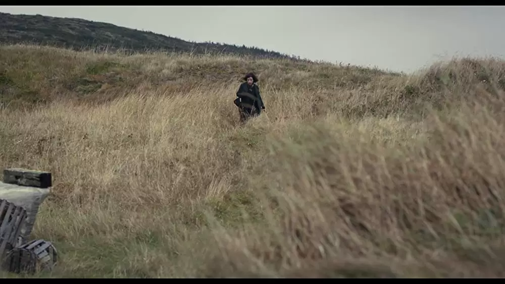 しあわせの絵の具 愛を描く人 モード・ルイスの画像