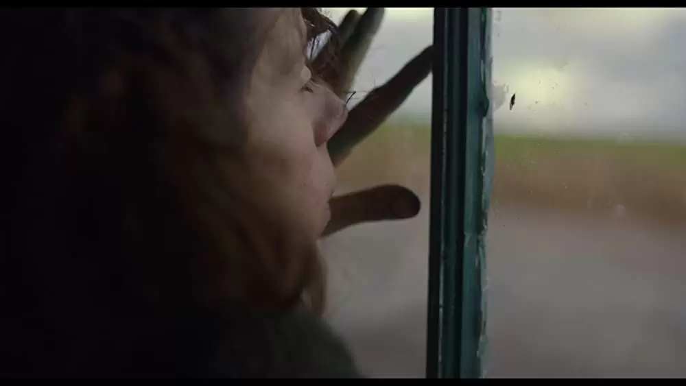 しあわせの絵の具 愛を描く人 モード・ルイスの画像