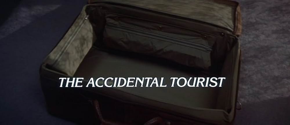 偶然の旅行者の画像