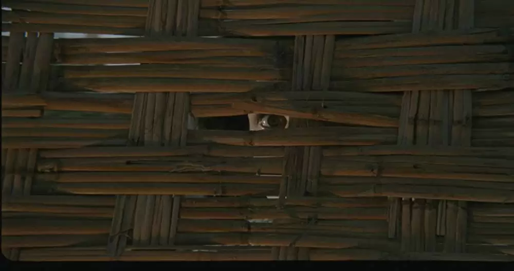 血みどろの入江の画像