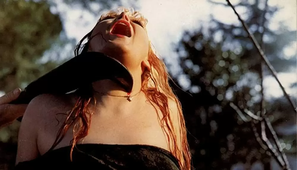 血みどろの入江の画像